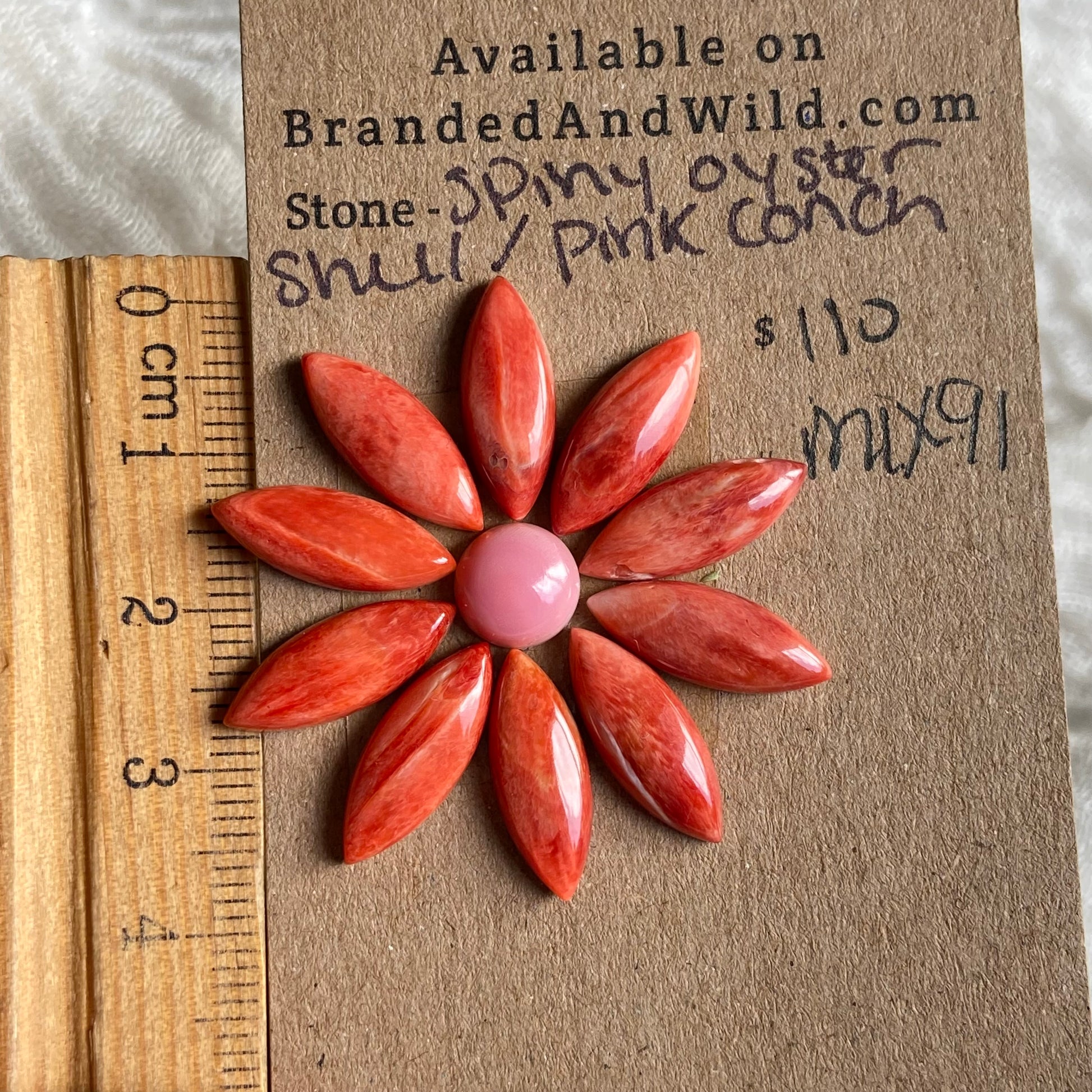Oyster Shell / Pink Conch Cabochon - Mix191 F004CACA-A7BC-45B7-8B0A-8B53866BA3F7 Brandedandwild.com