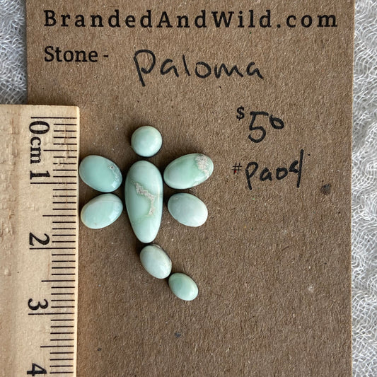 Paloma Cabochon - PA04
