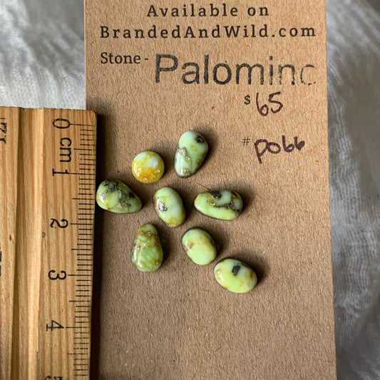 Palomino Cabochon - P066