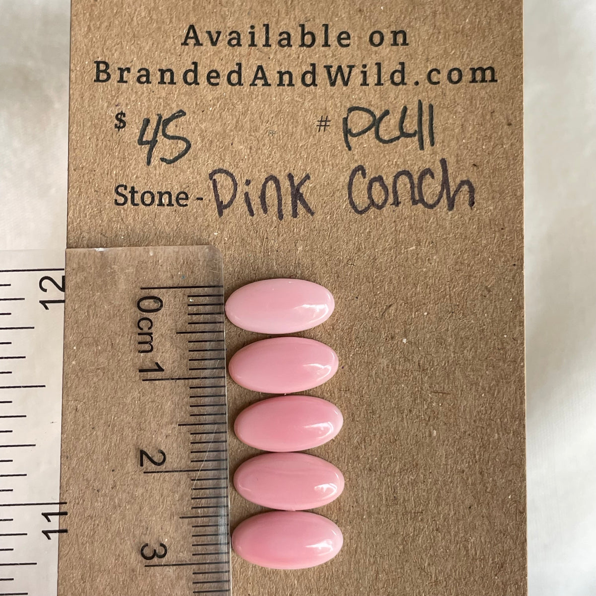 Pink Conch Cabochon - PC41 F04A496A-2416-4AC5-8513-F4402CF707D2 Brandedandwild.com
