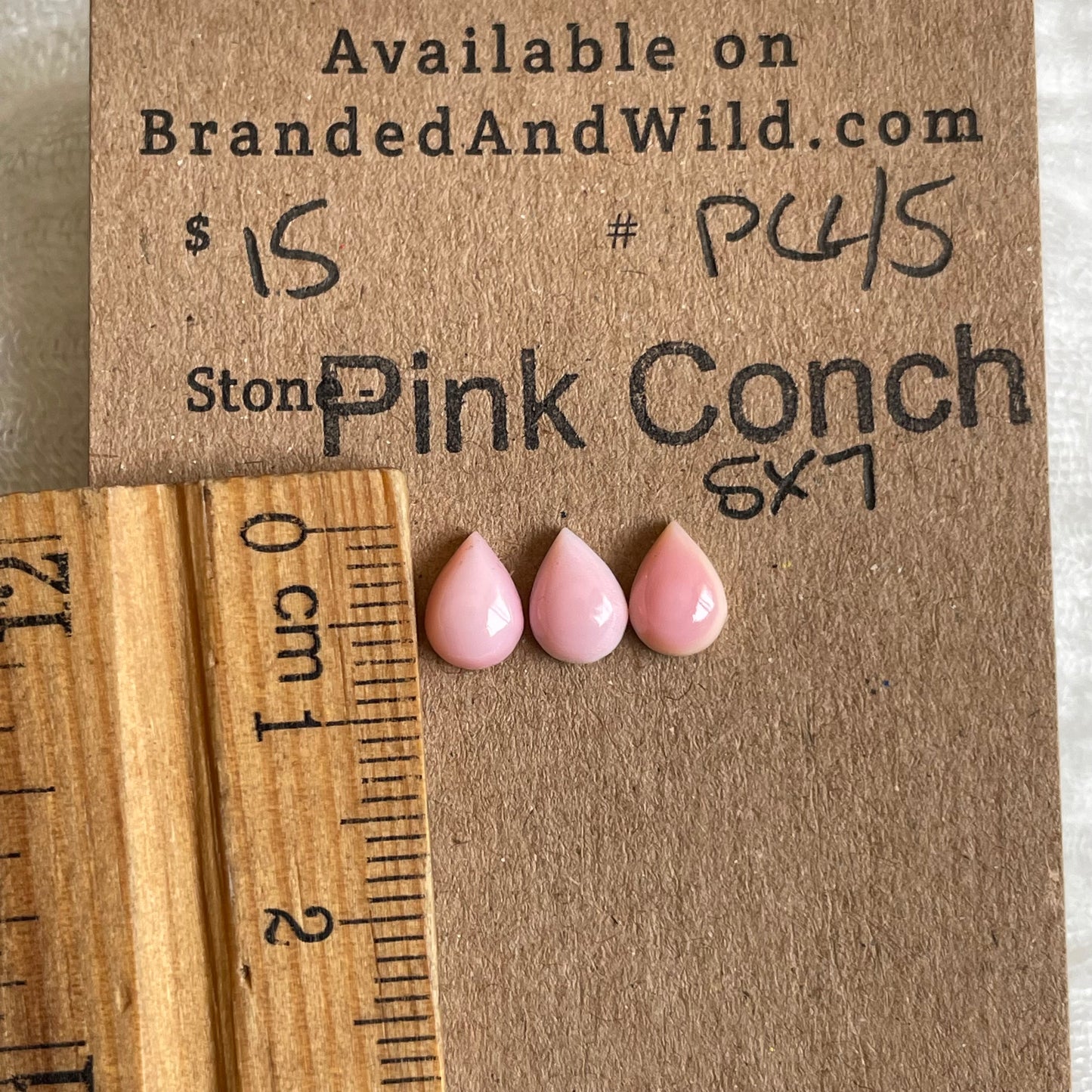 Pink Conch Cabochon - PC45