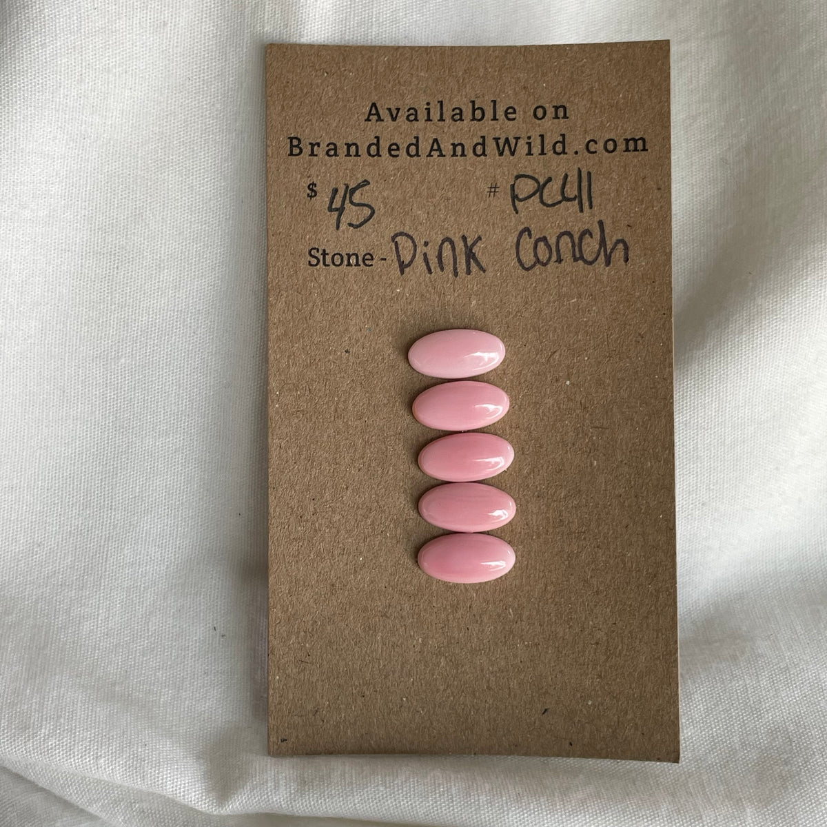 Pink Conch Cabochon - PC41 F06FDA38-B7BB-4DD1-8B74-FCEC64A95684 Brandedandwild.com