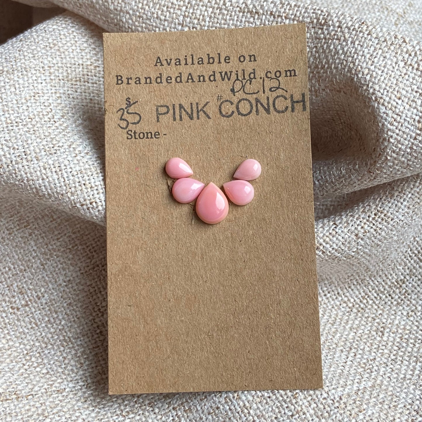 Pink Conch Cabochon - PC12 F079E160-EE58-4671-B298-B3259EA74799 Brandedandwild.com