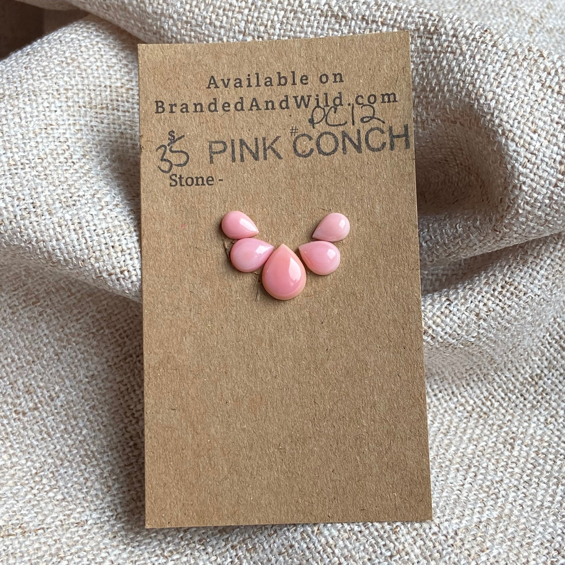 Pink Conch Cabochon - PC12 F079E160-EE58-4671-B298-B3259EA74799 Brandedandwild.com