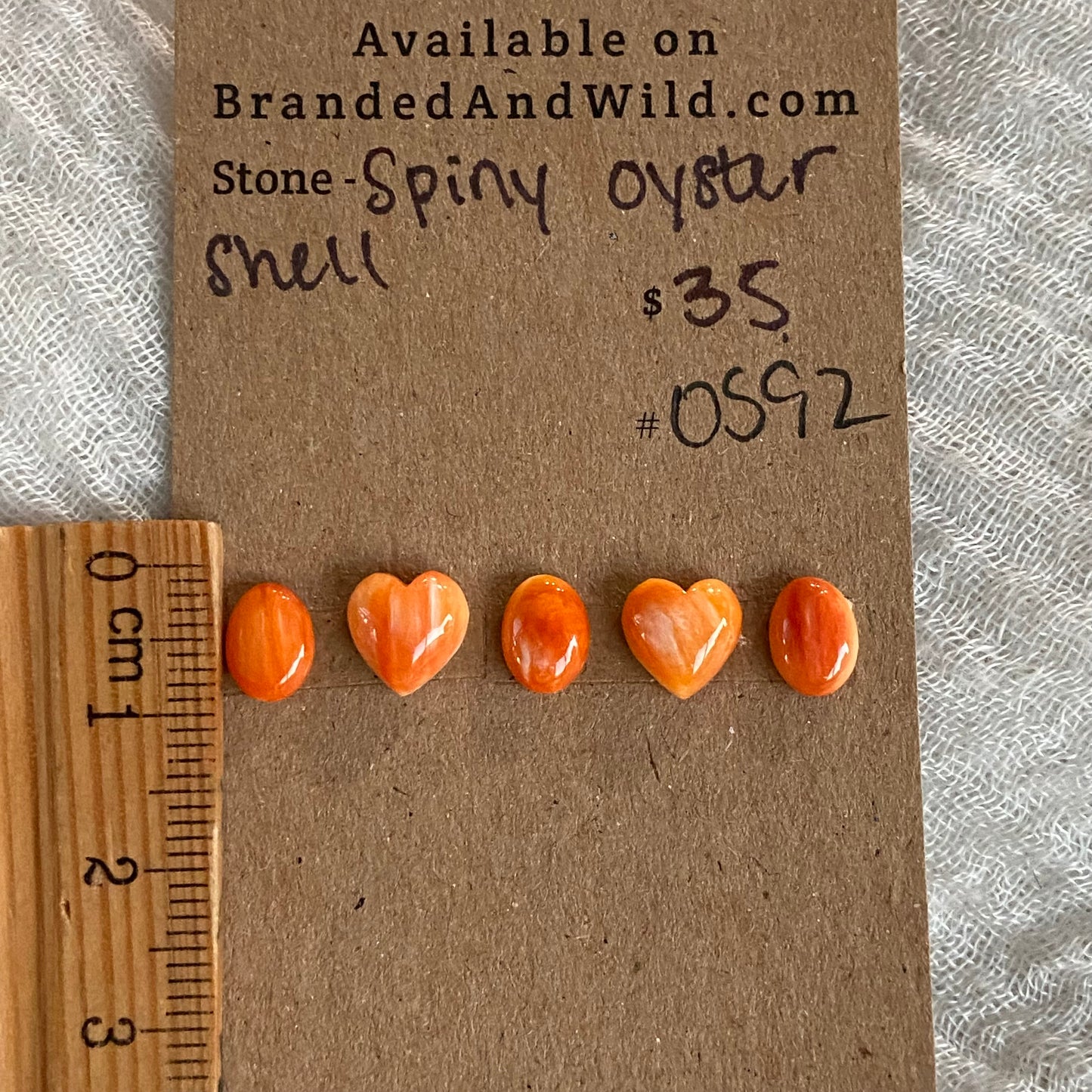 Oyster Shell Cabochon - OS92