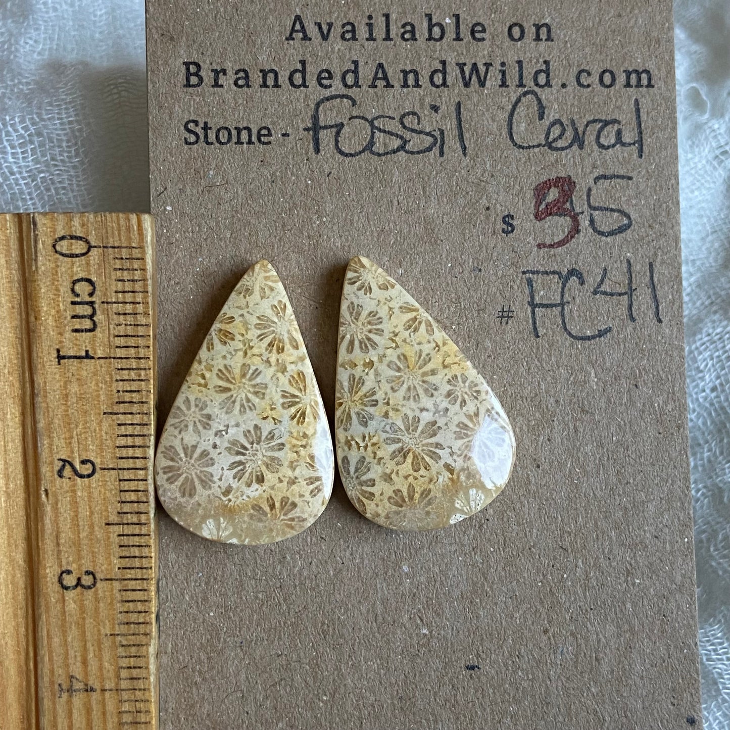 Fossil Coral Cabochon - FC41