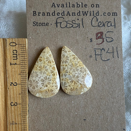 Fossil Coral Cabochon - FC41 F08EC836-146B-4B2A-A751-745072F12ADC Brandedandwild.com