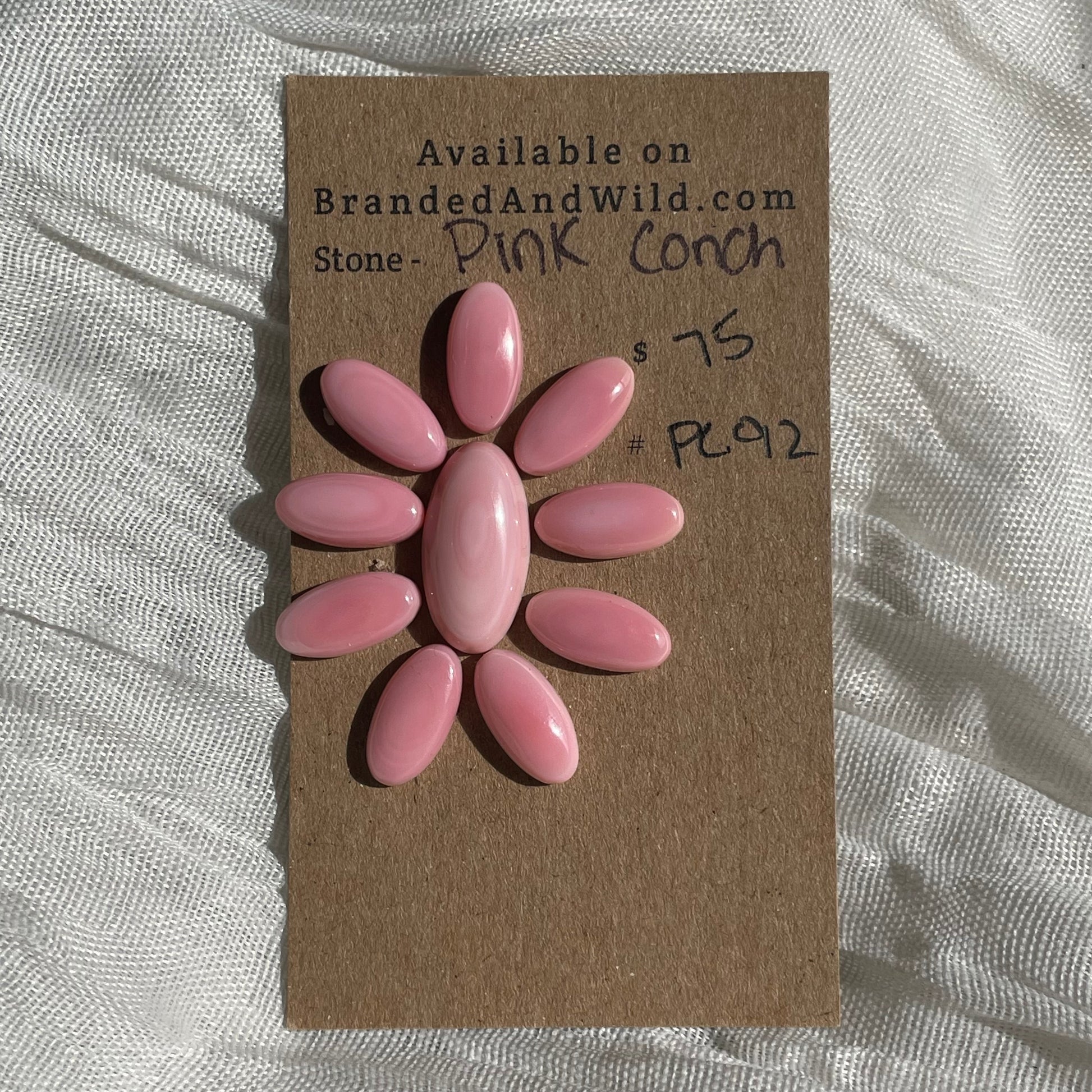 Pink Conch Cabochon - PC92 F123F78F-1E51-45F2-9F78-8F9125994952 Brandedandwild.com