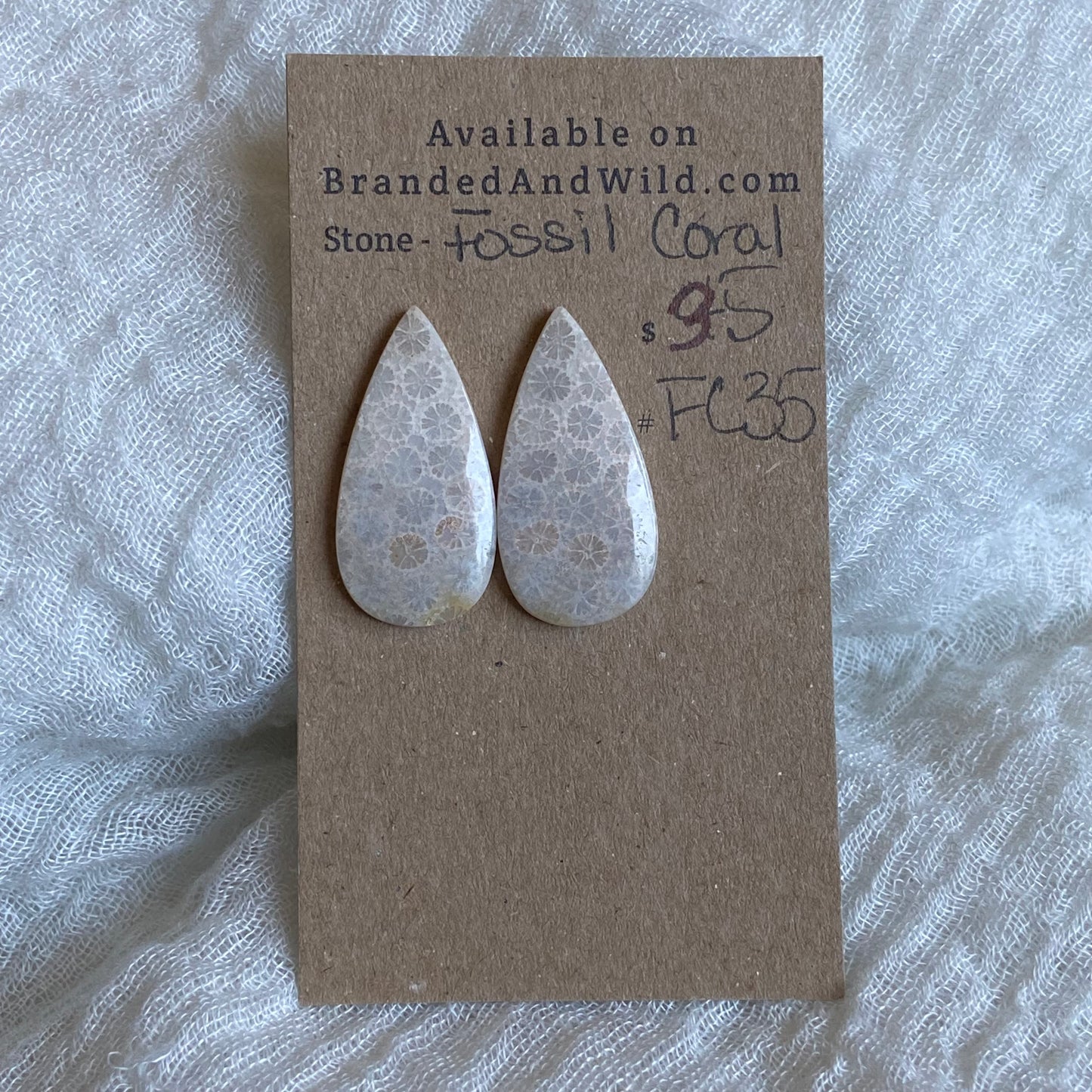 Fossil Coral Cabochon - FC35