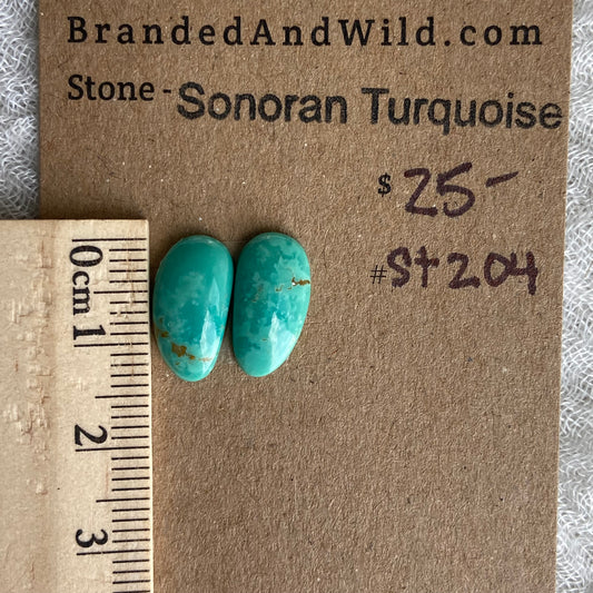 Sonoran Turquoise Cabochon - ST204