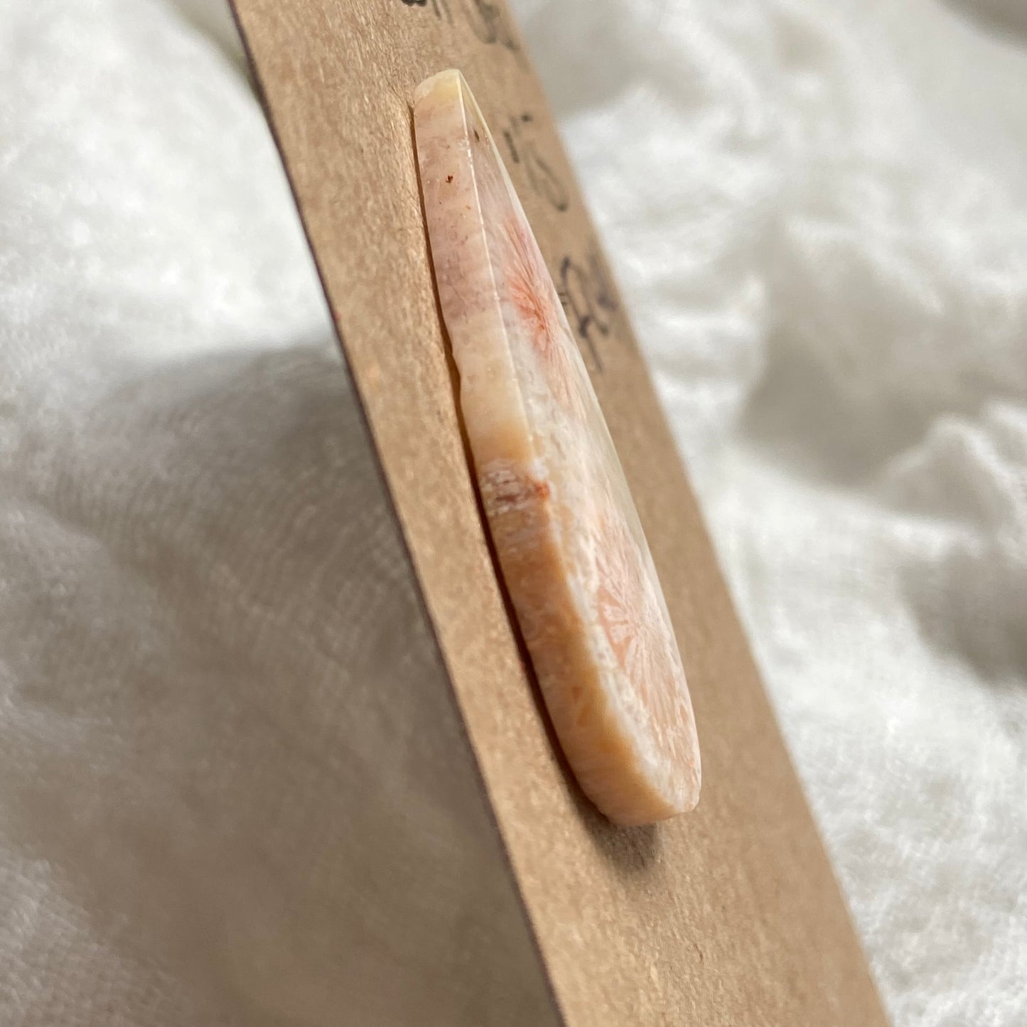 Fossil Coral Cabochon - FC44