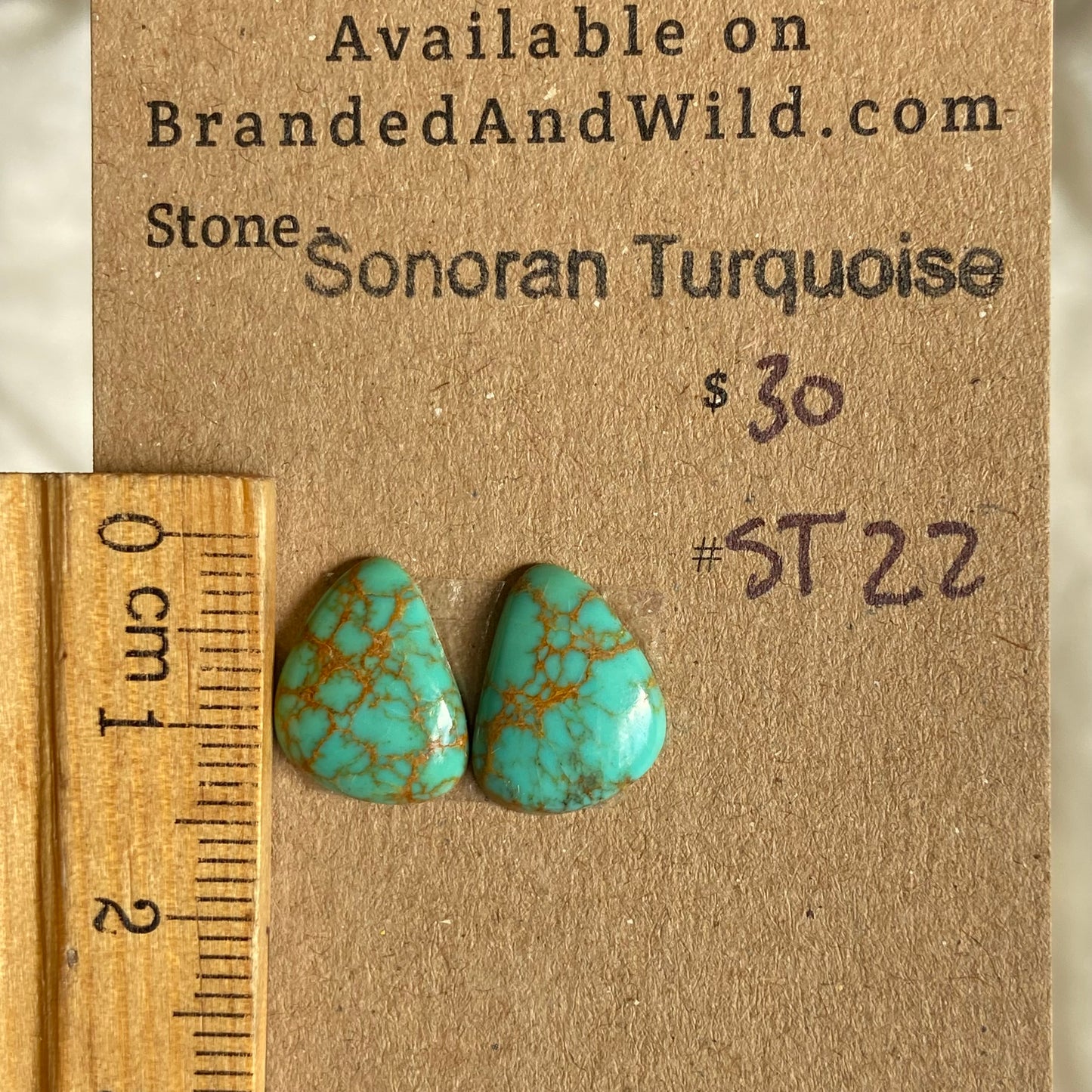 Sonoran Turquoise Cabochon - ST22