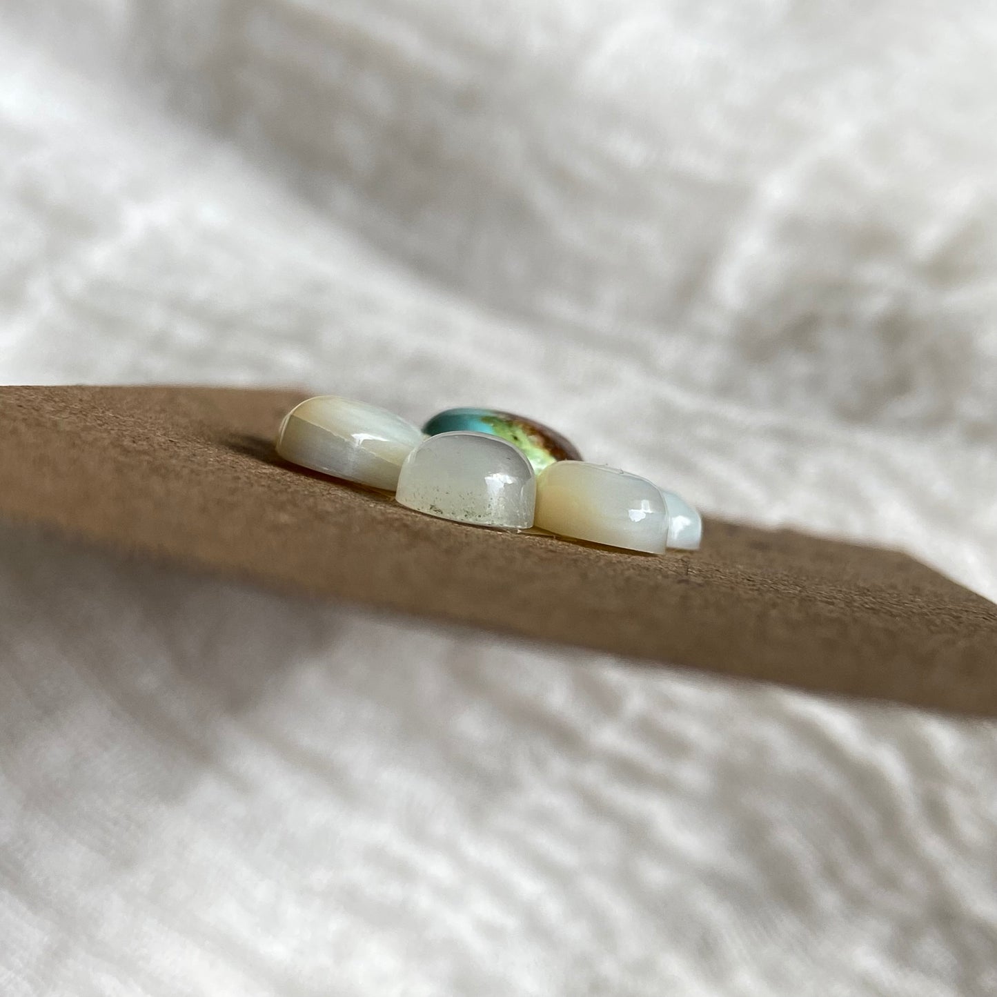 Mother of Pearl / Sonoran Cabochon - Mix240 F1B1C181-CF66-4FB7-AF38-14E94AF2ED0D Brandedandwild.com
