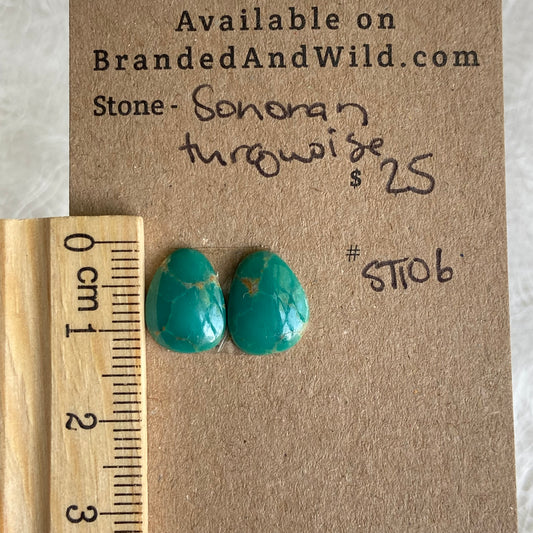 Sonoran Turquoise Cabochon - ST106