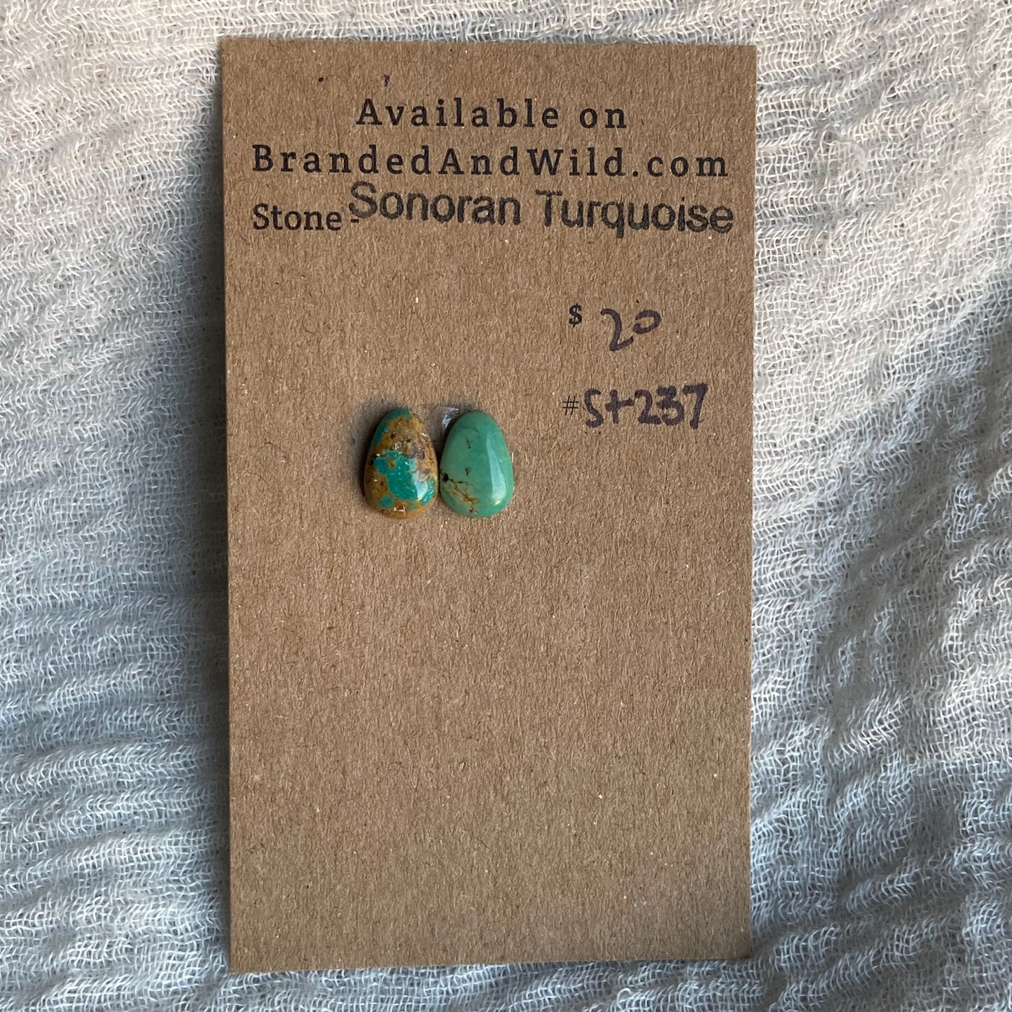 Sonoran Turquoise Cabochon - ST237