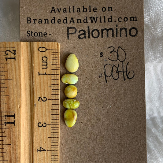 Palomino Cabochon - P046