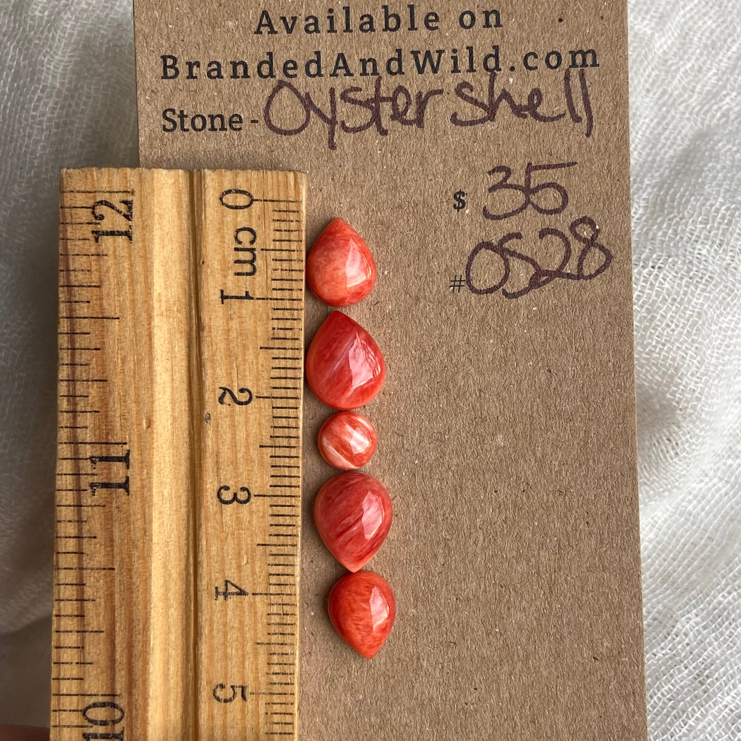 Oystershell Cabochon - 0S28