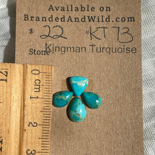 Kingman Turquoise Cabochon - KT73 F22C239A-EC1E-428F-BF55-20AD73A78DF3 Brandedandwild.com