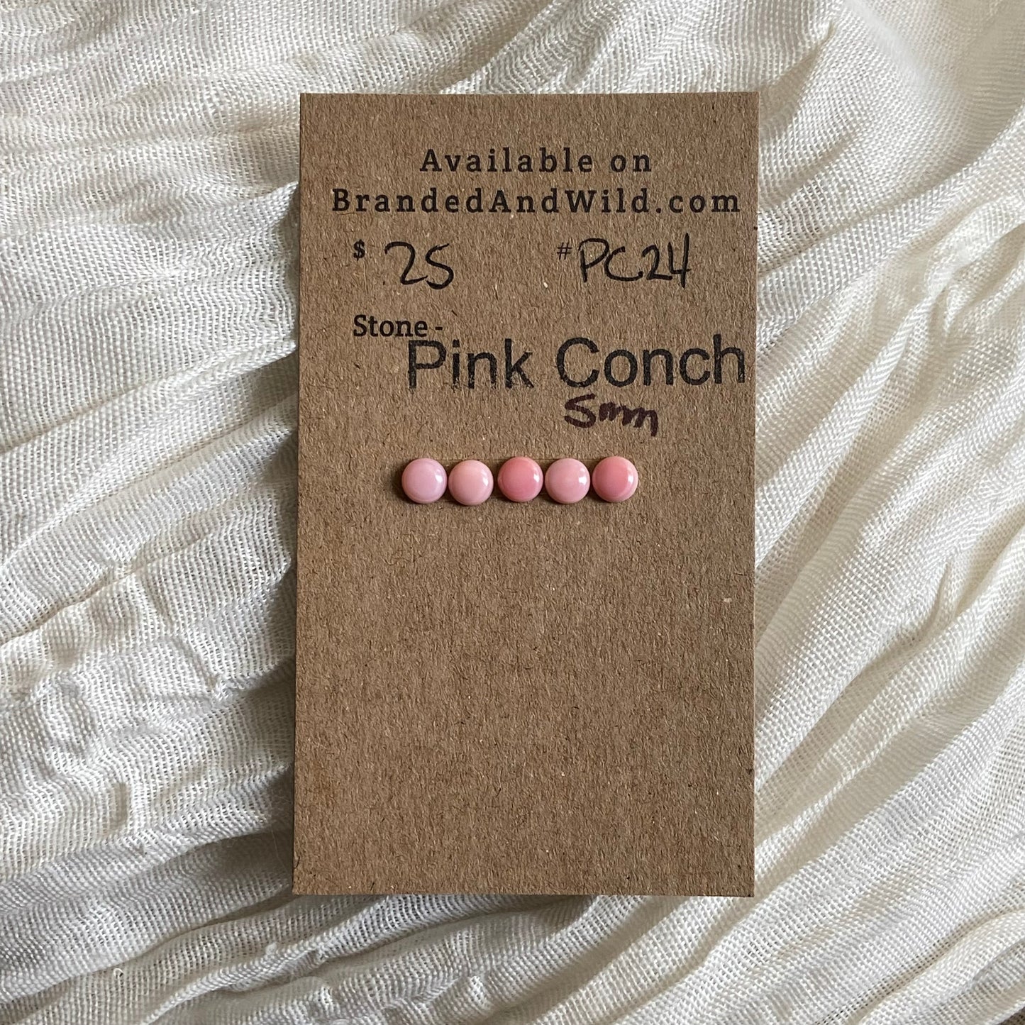 Pink Conch Cabochon - PC24 F26C867E-F122-43C8-BD80-C49F464992E4 Brandedandwild.com