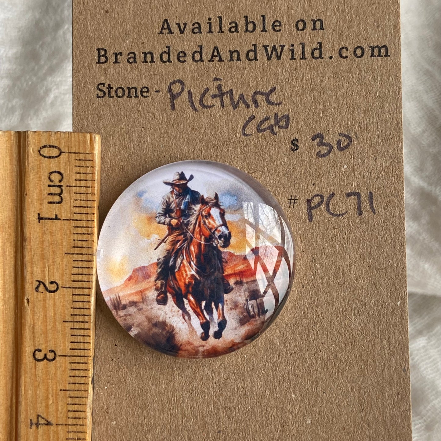 Picture Cabochon - Cabochon - PC71 F27BB6DF-2588-48D3-92C4-9E3C136BB659 Brandedandwild.com