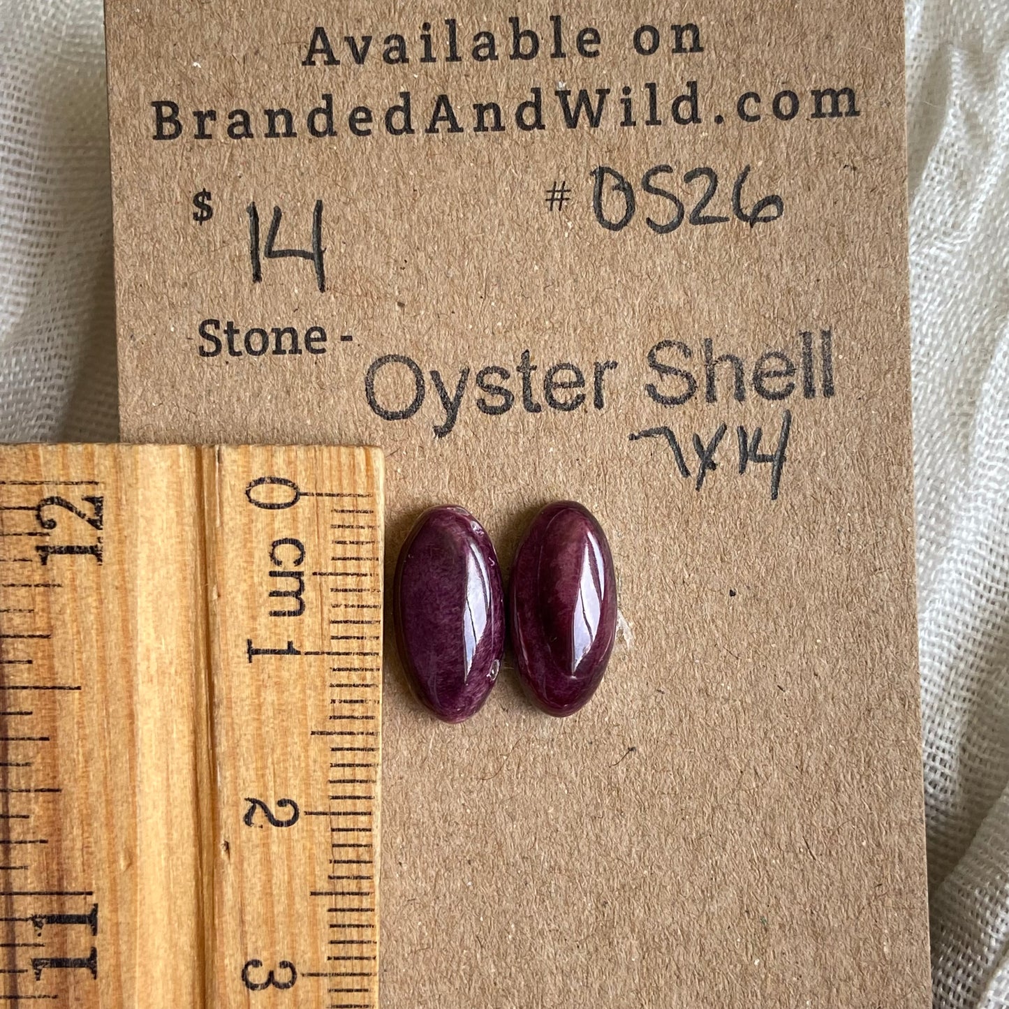 Oyster Shell Cabochon - OS26