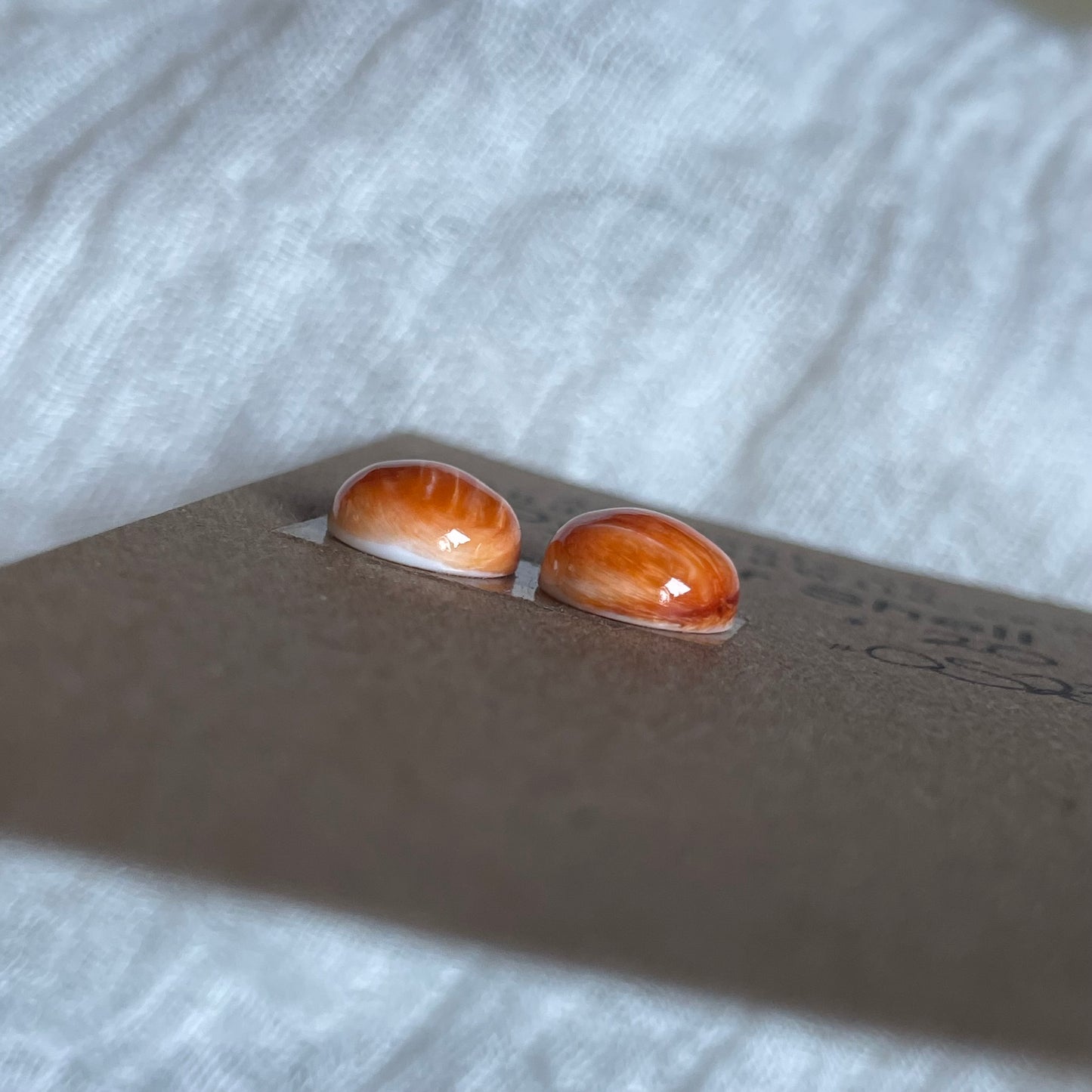 Oyster Shell Cabochon - OS23