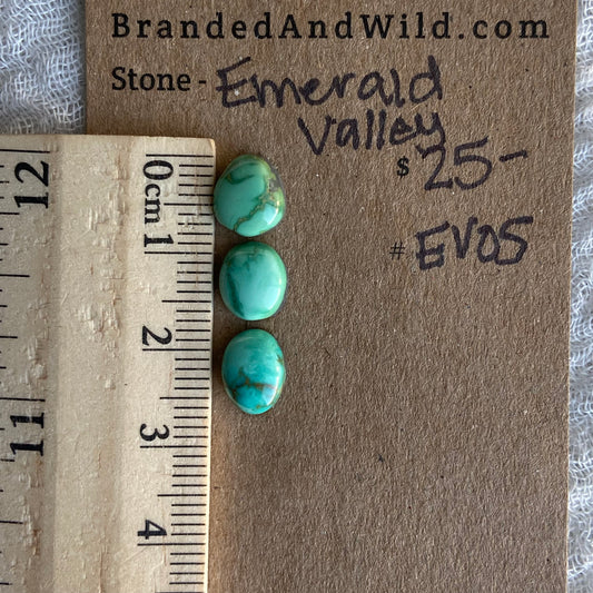 Emerald Valley Turquoise Cabochon - EV05