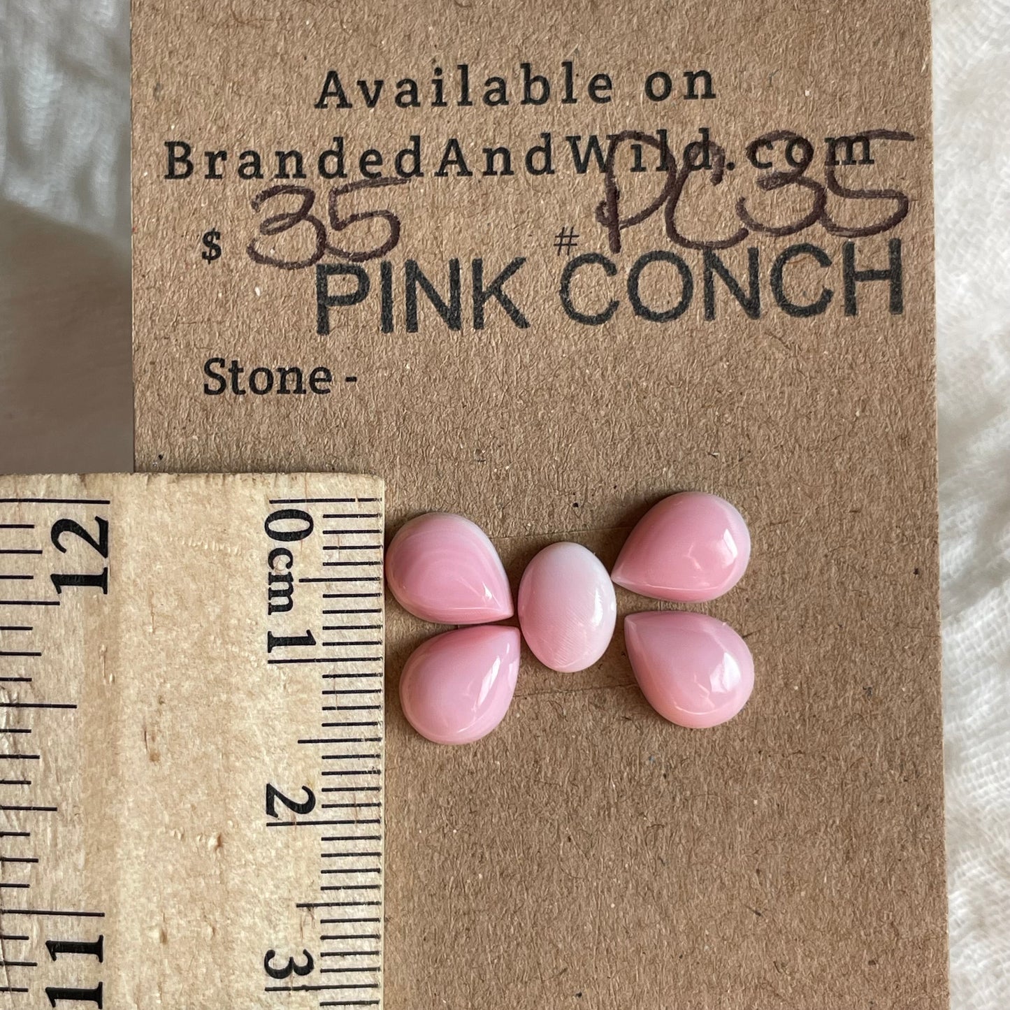 Pink Conch Cabochon - PC35 F2B3B0BB-3980-4FEF-B91A-F1ED5DD438E4 Brandedandwild.com