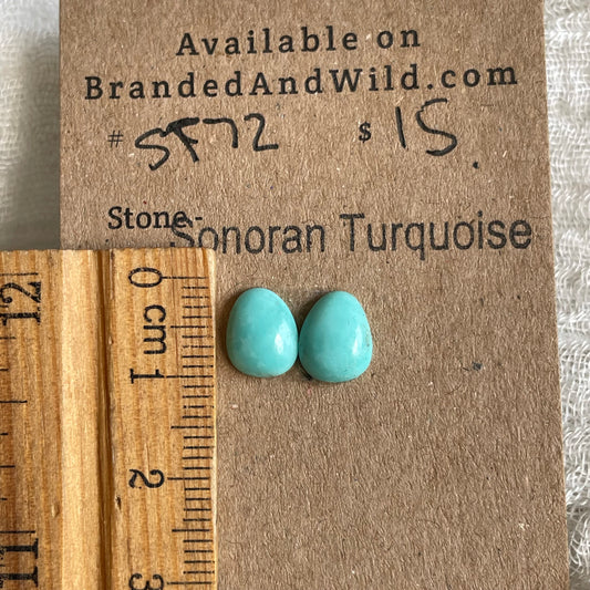 Sonoran Turquoise Cabochon - ST72 F2B99A35-8DEE-441B-9D02-4F4682E89F6E Brandedandwild.com