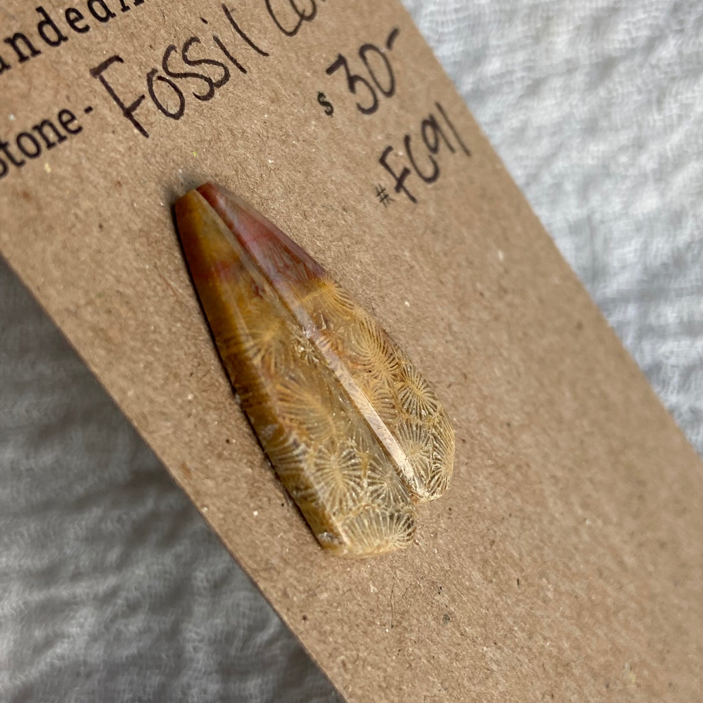 Fossil Coral Cabochon - FC91
