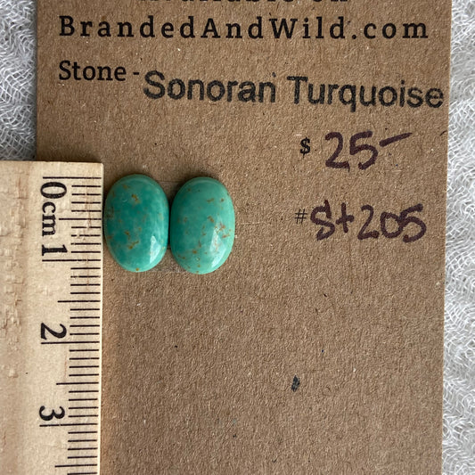 Sonoran Turquoise Cabochon - ST205