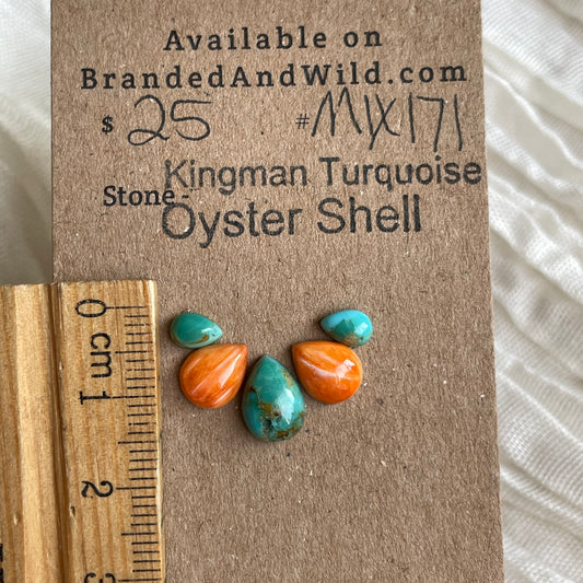 Oyster Shell / Kingman Turquoise Cabochon - MIX171 F2E7A87B-DBD5-419D-B80C-DFAB7DA64B68 Brandedandwild.com