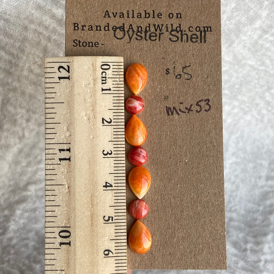 Oystershell Cabochon - MIX53