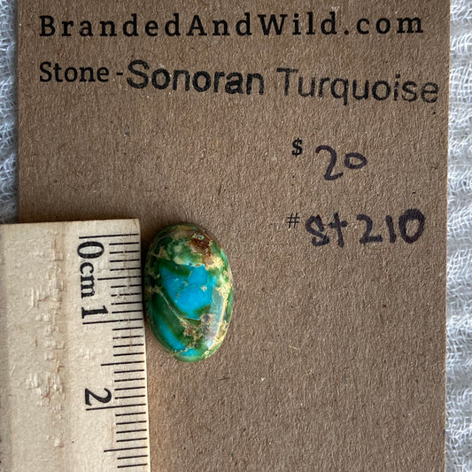 Sonoran Turquoise Cabochon - ST210