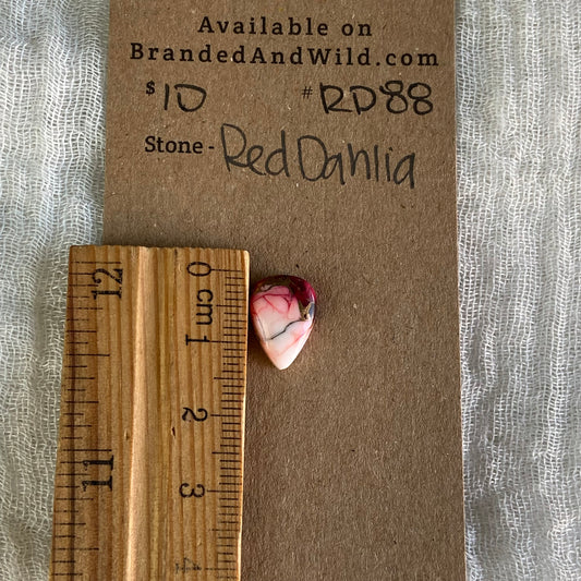 Red Dahlia Cabochon - RD88