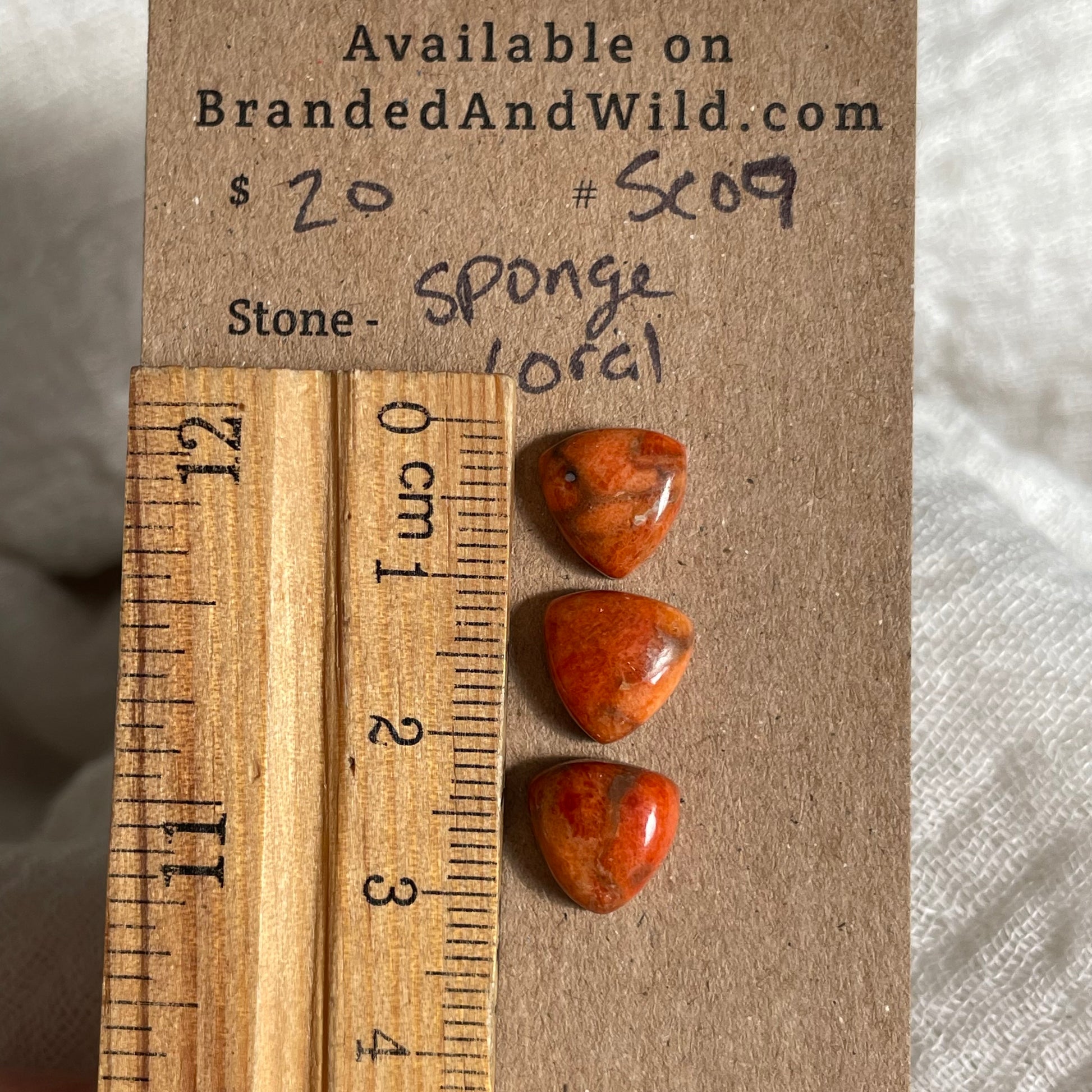 Sponge Coral Cabochon - SC09 F35B8C89-AAC9-4376-933D-81817034796E Brandedandwild.com
