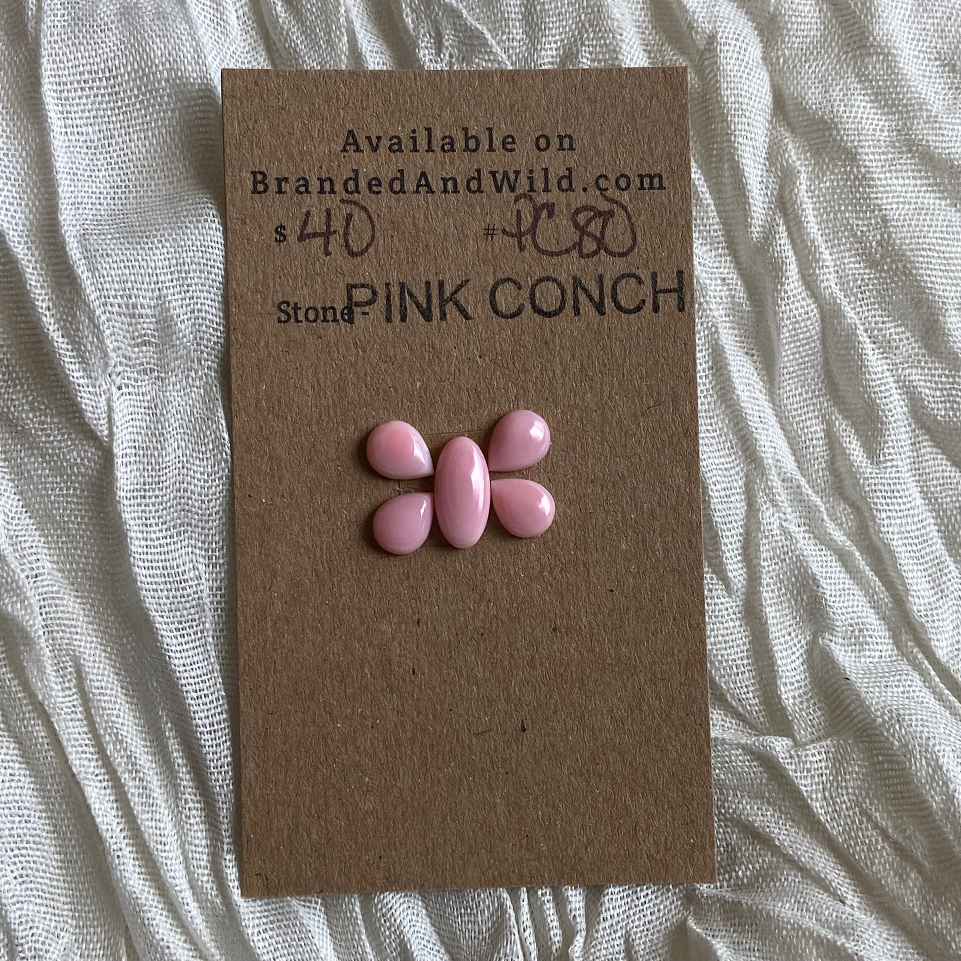 Pink Conch Cabochon - PC80 F35D35B7-0AB9-4E54-95E9-B5CE41D3600A Brandedandwild.com
