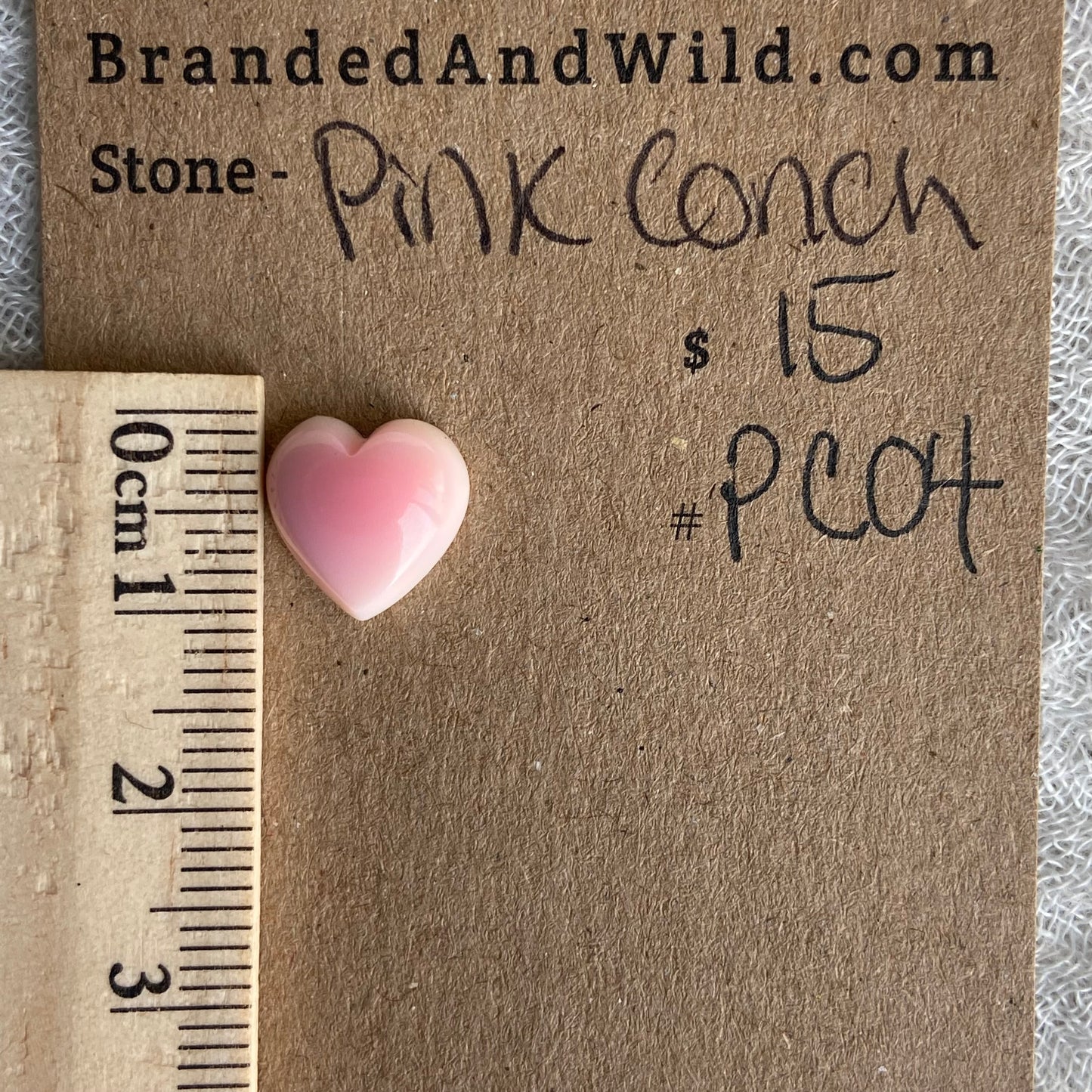 Pink Conch Cabochon - PC04