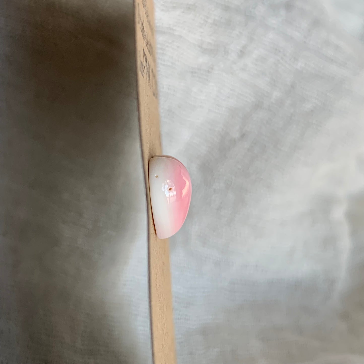 Pink Conch Cabochon - PC09