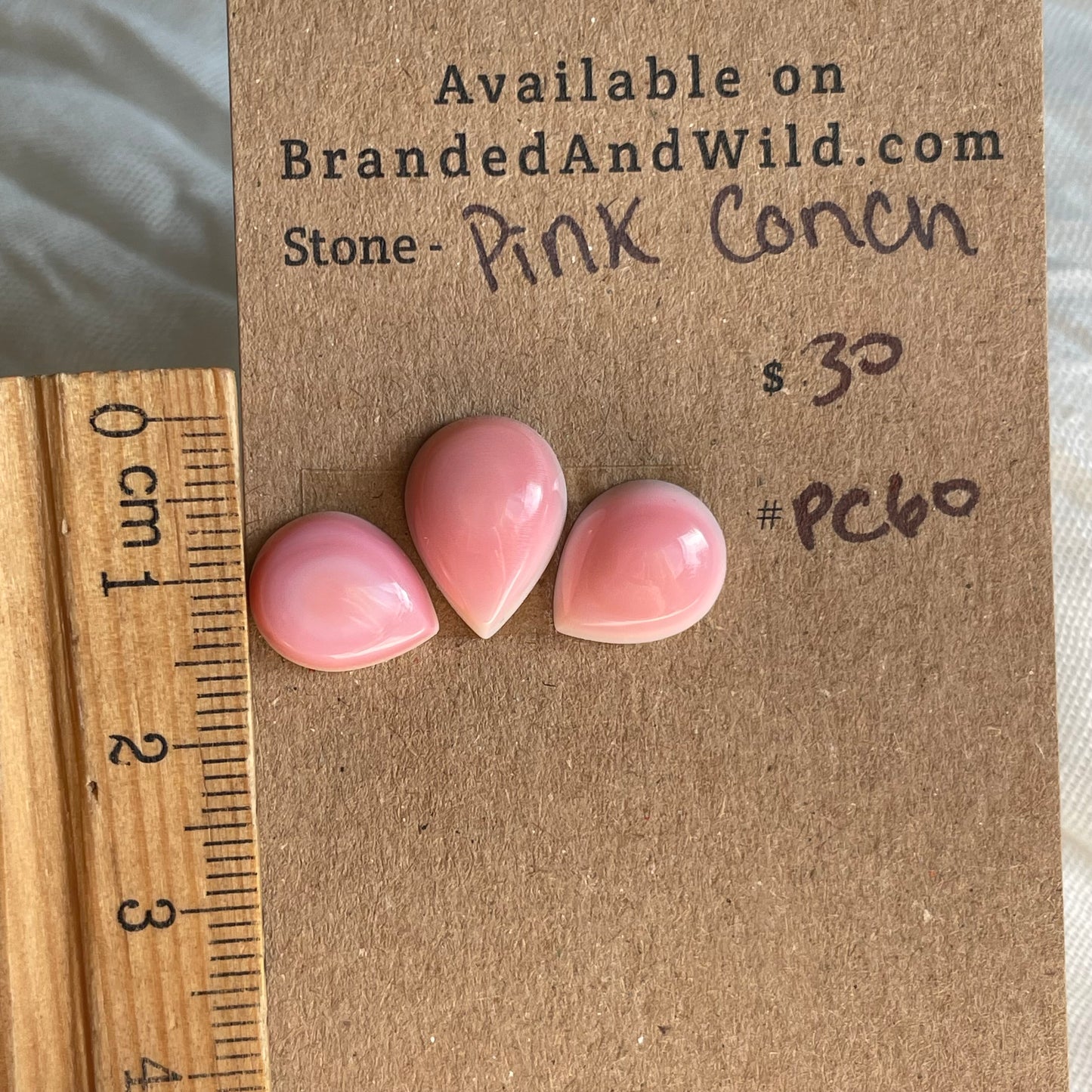 Pink Conch Cabochon - PC60 F3C3FDD6-504A-421C-9B47-2958909FB844 Brandedandwild.com