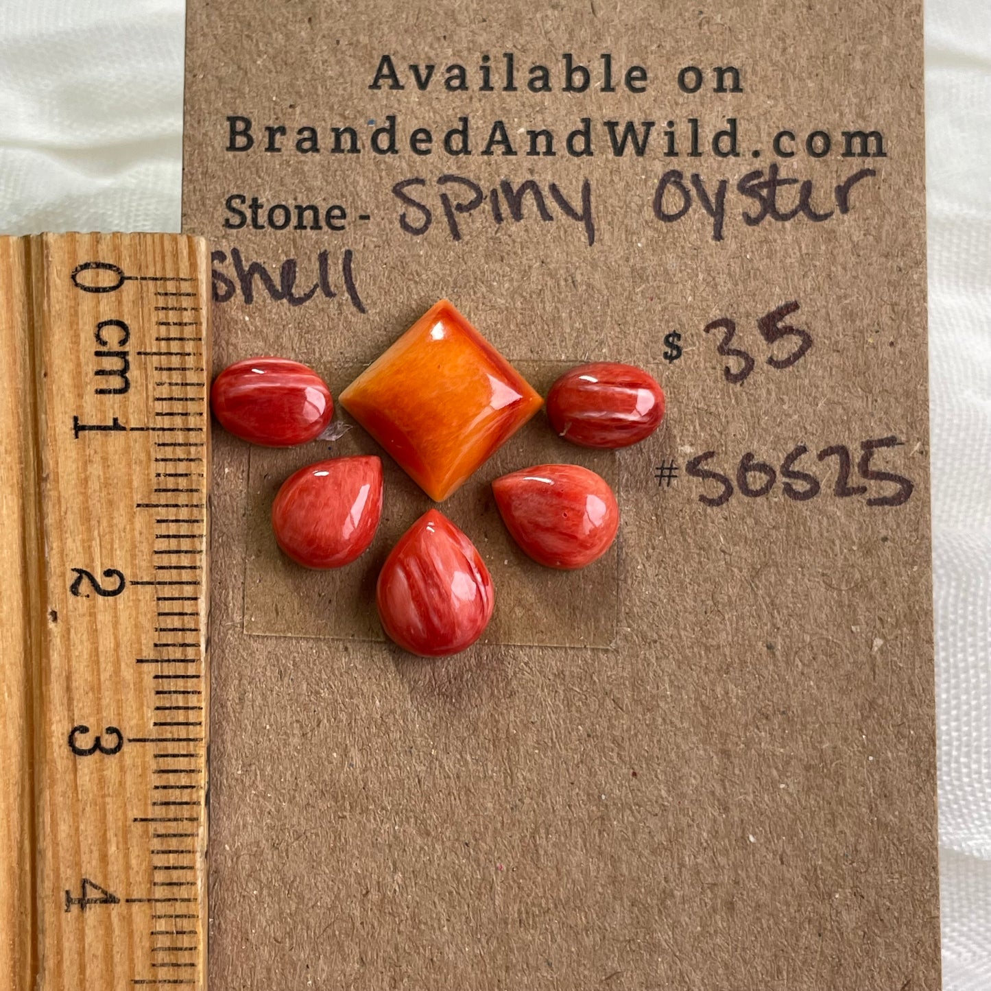Oyster Shell Cabochon - S0S25 F3D00A56-DE8C-4BC4-940B-295964303DF9 Brandedandwild.com