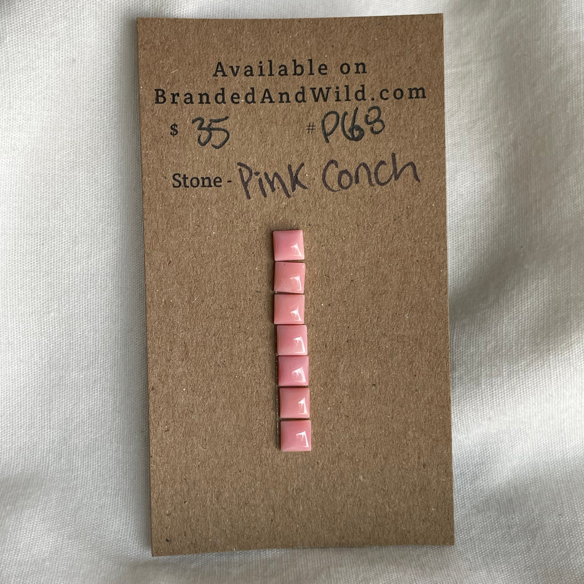 Pink Conch Cabochon - PC68 F3D57CBE-CA69-4BA8-93E5-7A92E8ABD5DD Brandedandwild.com