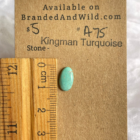 Kingman Turquoise Cabochon - KT75 F3DF38D1-7256-4D33-9105-D6389F525215 Brandedandwild.com