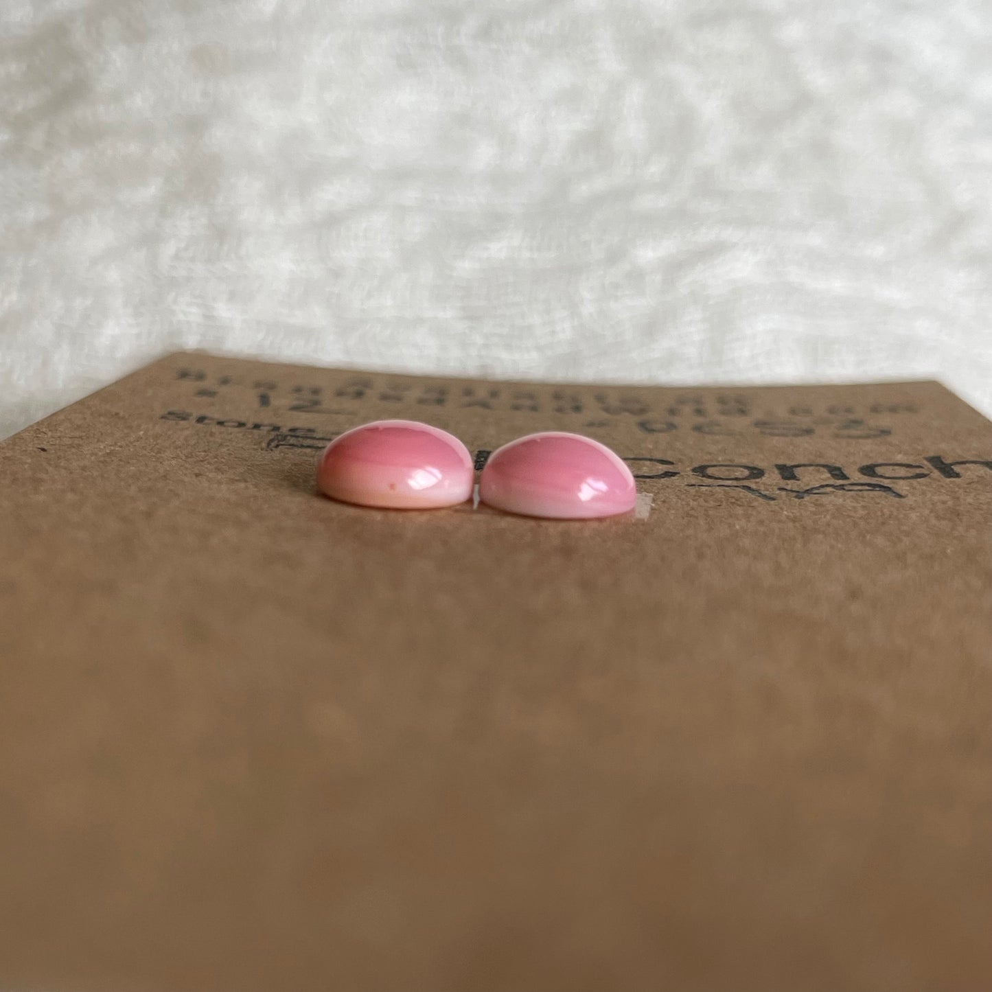 Pink Conch Cabochon - PC53