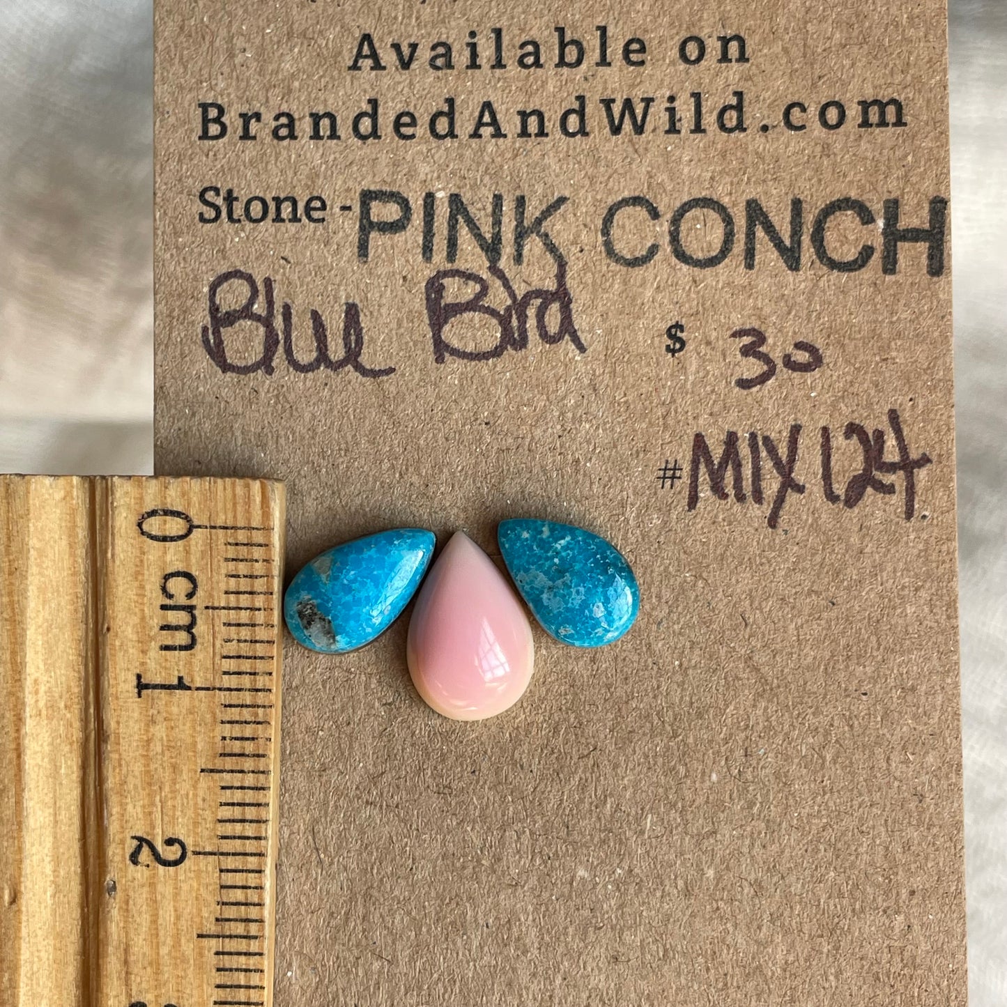 Pink Conch / Blue Bird Cabochon - MIX124