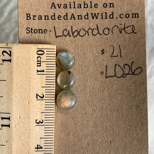 Labradorite Cabochon - L026