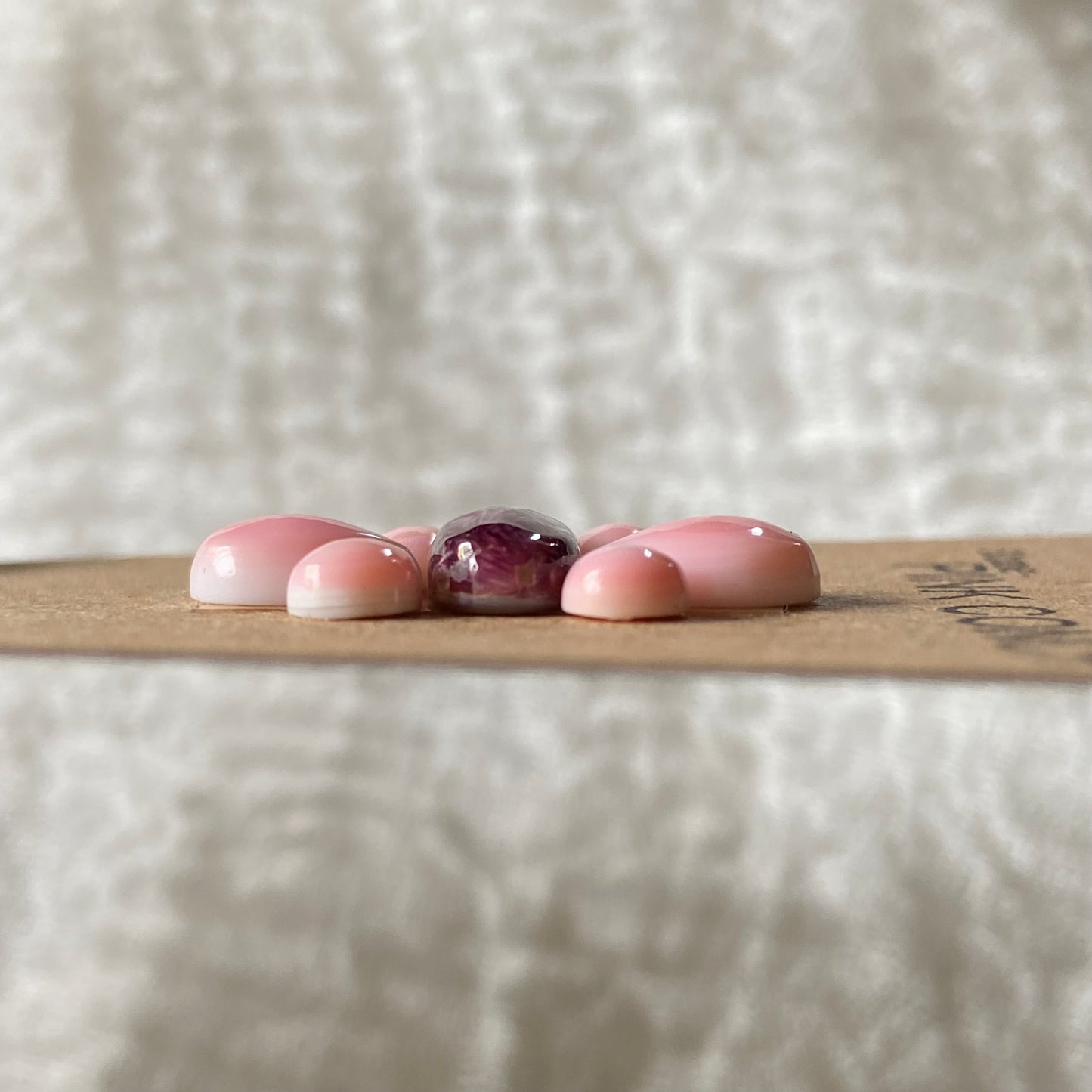 Pink Conch / Oyster Shell Cabochon - OP04