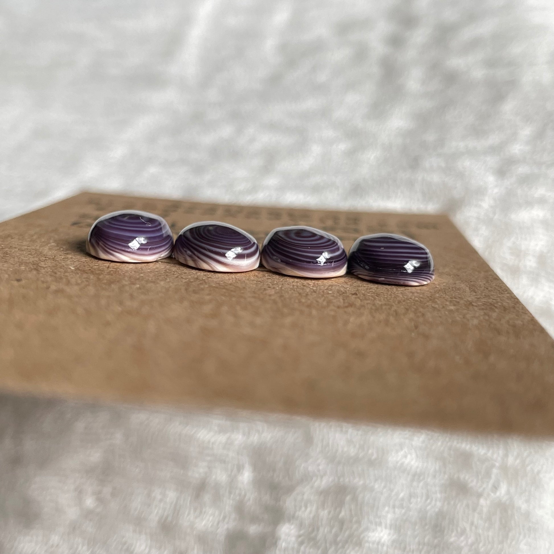 Wampum Quahog Shell Cabochon - WQS1 F47BE84C-9F5D-45C3-BC32-CEFC99330B9B Brandedandwild.com