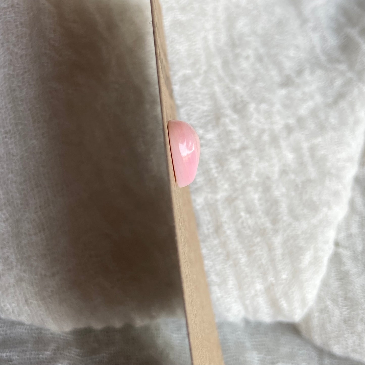 Pink Conch Cabochon - PC95
