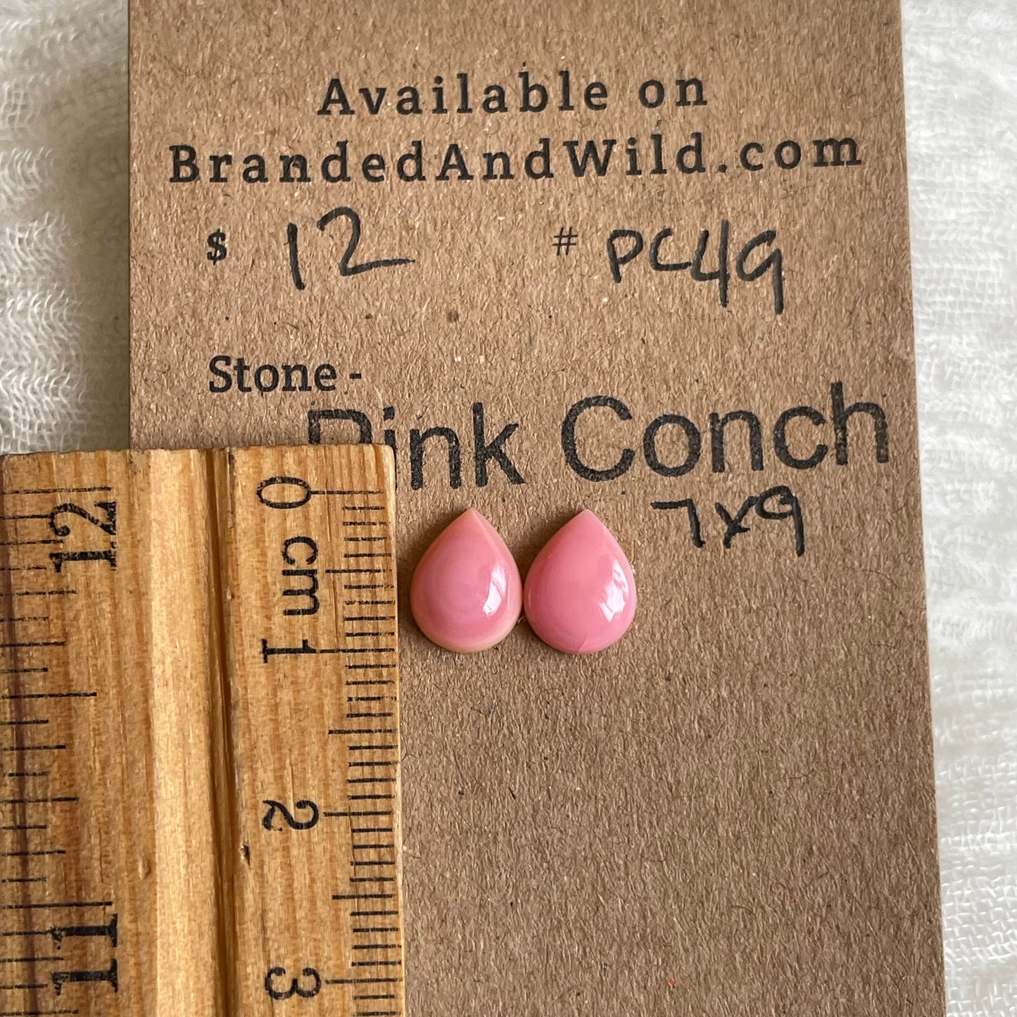 Pink Conch Cabochon - PC49